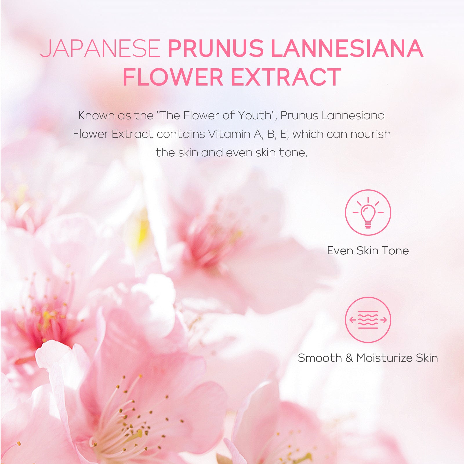 LAIKOU Japan Sakura 5Pcs Skincare Set